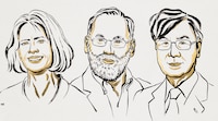 Dan el Nobel de Medicina a 3 científicos por investigación sobre el sistema inmunológico