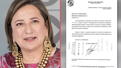 La senadora envió un documento a la Mesa Directiva del Senado