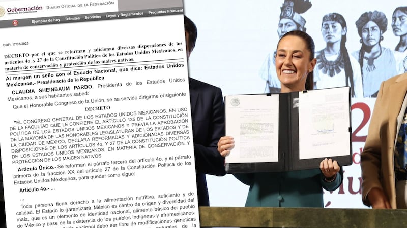 Sheinbaum publica en el DOF reforma contra siembra del maíz transgénico