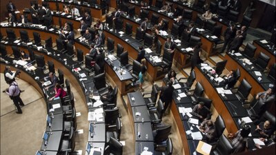 Algunos senadores laboran fuera del recinto legislativo, incluso fuera del país