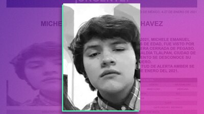 El joven de 15 años fue visto por última vez el 25 de enero en calles de Tlalpan