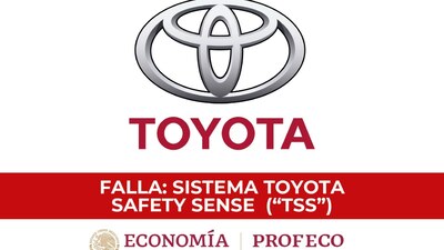 Varias de estas fallas podrían poner en riesgo de la seguridad de los usuarios