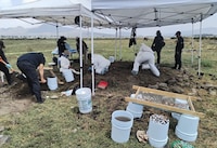 Colectivos de búsqueda reportan hallazgo de más de 200 restos óseos en límites de CDMX y Edomex