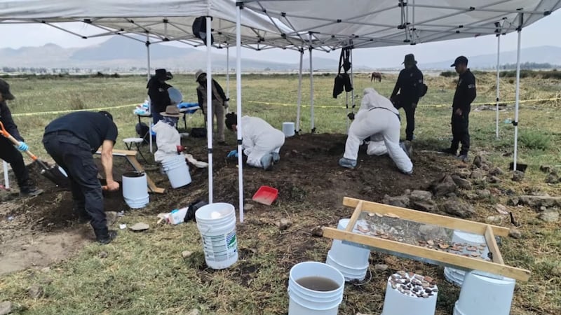 Colectivos de búsqueda reportan hallazgo de más de 200 restos óseos en límites de CDMX y Edomex