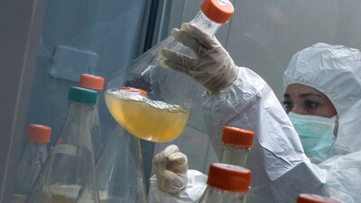 La Isla podría convertirse en el primer país de América Latina en conseguir un inmunizante probado