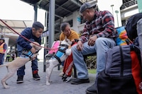 AIFA implementa programa de atención emocional en aeropuertos con ‘lomitos’