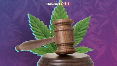 La regulación de la marihuana es distinta en todos los países