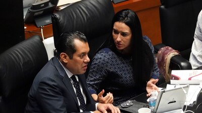 El diputado de Morena aseguró que justificarán el recorte al INE