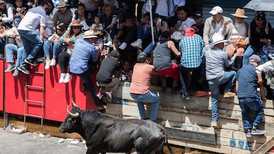 Un toro persigue a las personas que asistieron a la Huamantlada