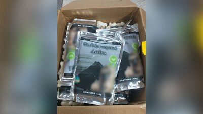 Elementos caninos detectaron droga en una empresa de paquetería