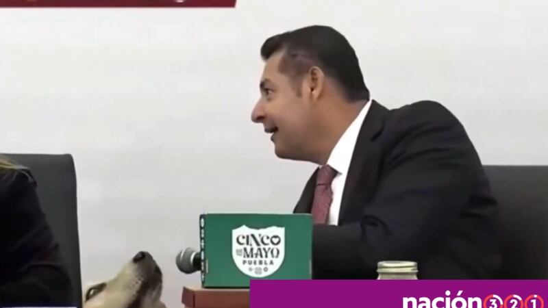 VIDEO: Gobernador de Puebla lleva a su perrito ‘Tommy’ a conferencia y lo hace ‘hablar’