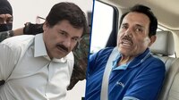 Hijos de ‘El Chapo’ y ‘El Mayo’ son objetivos prioritarios del gobierno mexicano: Harfuch