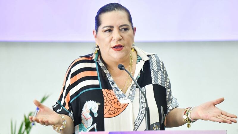 INE buscará reunirse con Pablo Gómez, titular de la Comisión para la Reforma Electoral: Taddei