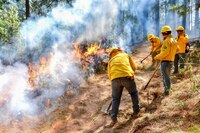 Darán hasta 10 años de cárcel a quien provoque incendios forestales en el Edomex