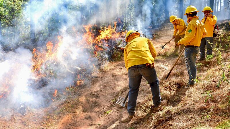 Darán hasta 10 años de cárcel a quien provoque incendios forestales en el Edomex