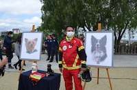 SCJN avala imponer pena máxima a responsable de la muerte de Athos y Tango