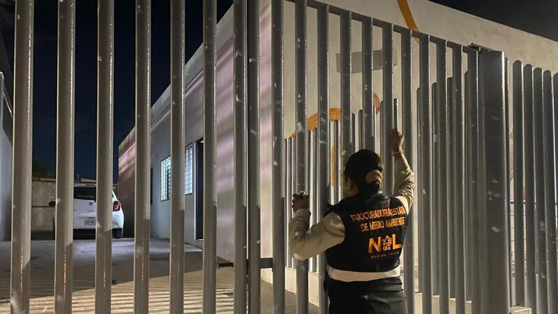 Clausuran Centro de Bienestar Animal de Santa Catarina tras denuncias por sacrificio masivo de perros