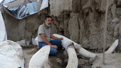 Esta e sla primera trampa para mamuts que se ha descubierto en el mundo