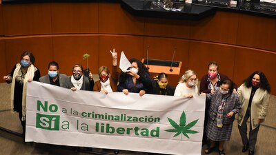 El decreto apobado prevé la creación de la Ley para la Regulación del Cannabis; va a Diputados