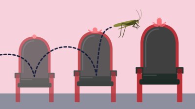 Conoce los rostros de una docena de políticos que ya se han sentado en todas las sillas posibles