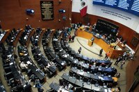 PVEM presentará reserva para que reforma contra nepotismo entre en vigor en 2030