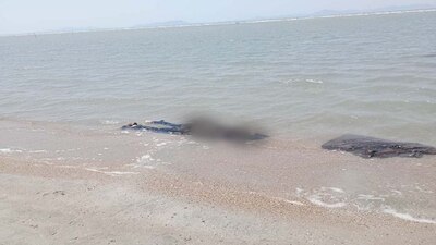 Autoridades investigan la documentación de las personas encontradas