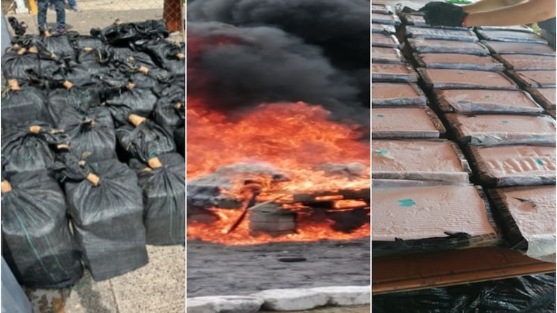 FGR destruye más de 11 toneladas de narcóticos en 4 estados