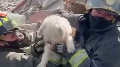 La explosión dejó un saldo de una fallecida y 12 lesionados.