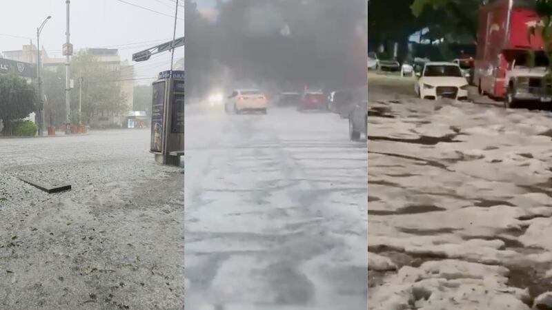 VIDEO: Fuerte granizada deja ‘capa blanca’ en Coyoacán, Benito Juárez y Miguel Hidalgo