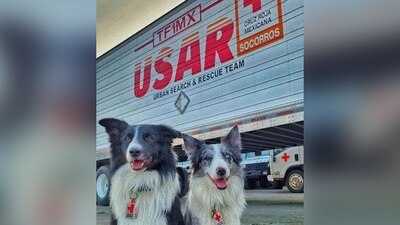 Orly y Balam son hijos de Athos, el perrito que fue envenenado en 2021