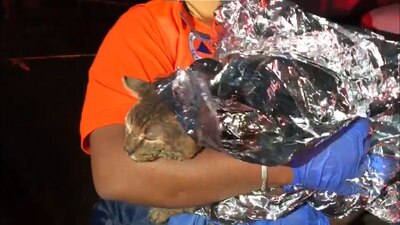 Fue la única víctima del incendio que se registró ayer en la Central de abasto