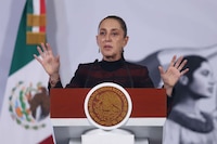 Sheinbaum alista plan para reactivar exportación de aguacate a EU tras suspensión