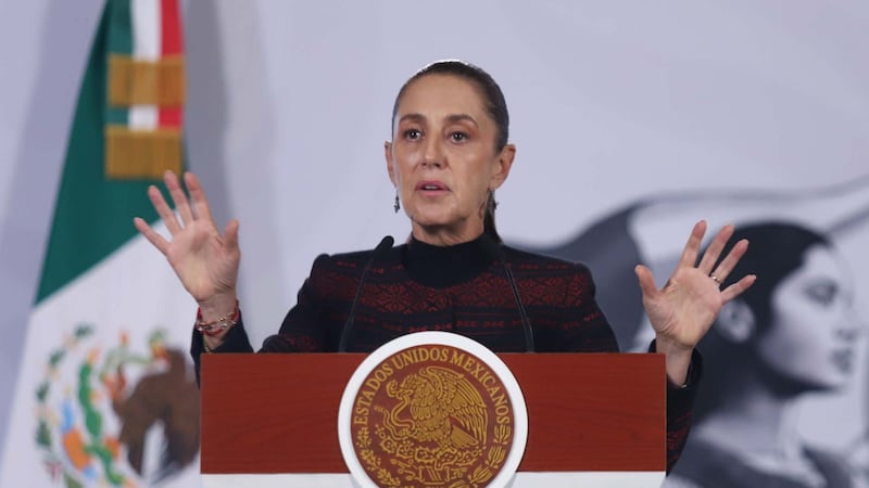 Sheinbaum alista plan para reactivar exportación de aguacate a EU tras suspensión