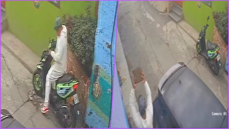 VIDEO: Captan a hombre que lanza un ladrillo contra un perro en Xochimilco y huye