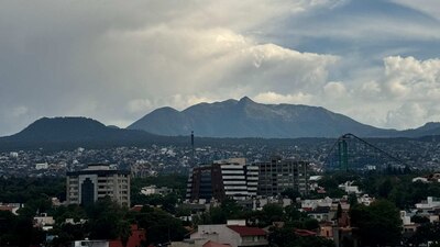 Pretendía tirar al rededor de 150 árboles, por lo que los autoridades pidieron uno nuevo
