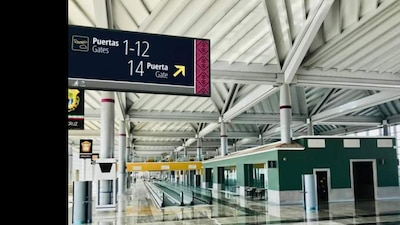 De acuerdo con el D.O.F. tendrá que cumplir con las normas migratorias, sanitarias y fitozoosanitarias