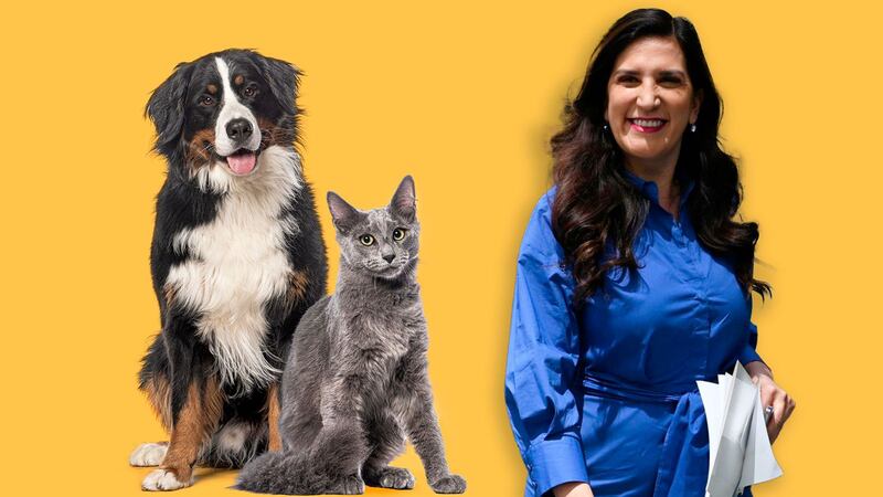 Kenia López propone eliminar el IVA a comida y medicinas para mascotas