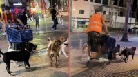 ¿‘Perrolfo’? Captan a hombre mayor en trineo de perros, en Los Cabos