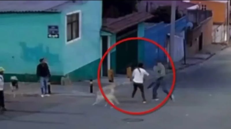Hombre ataca con un machete a una mujer que trataba defender a unos perros callejeros en Puebla