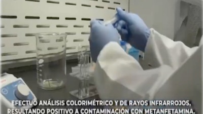 Toneladas de drogas fueron aseguradas por parte de las autoridades