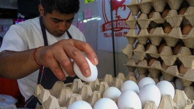 La gripe aviar está afectando duramente la producción en Estados Unidos