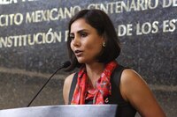 VIDEO: "En el PRI siempre apoyaremos a todo aquel que cometa un delito o desvío"