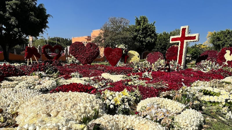 VIDEO: Revelan imágenes de la presunta tumba de ‘El Mencho’