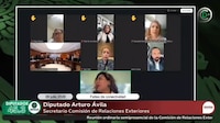 VIDEO: diputada del PRI insulta al morenista Arturo Ávila en plena sesión en vivo