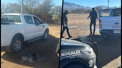 Los lomitos habrían sido incinerados luego de hallarlos sin vida