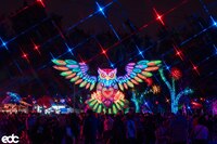 Perrito policía encuentra en el EDC 2025 a mujer con cientos de drogas