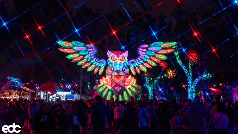 Perrito policía encuentra en el EDC 2025 a mujer con cientos de drogas