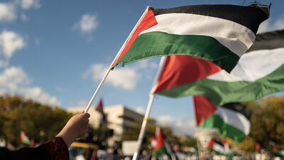 Tiene el estatus de "Estado Observador"