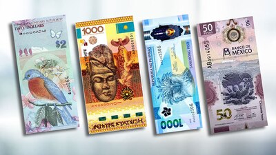 La sociedad reconoce el diseño, color, contraste, equilibrio, entre otros rubros