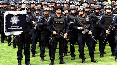 Integrantes de la Policía Federal de México